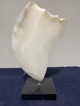 Load image into Gallery viewer, Veil of Silence