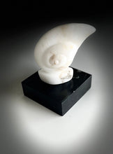 Load image into Gallery viewer, Marble Plinths