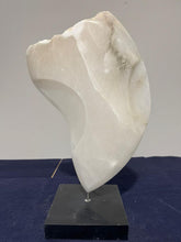 Load image into Gallery viewer, Veil of Silence
