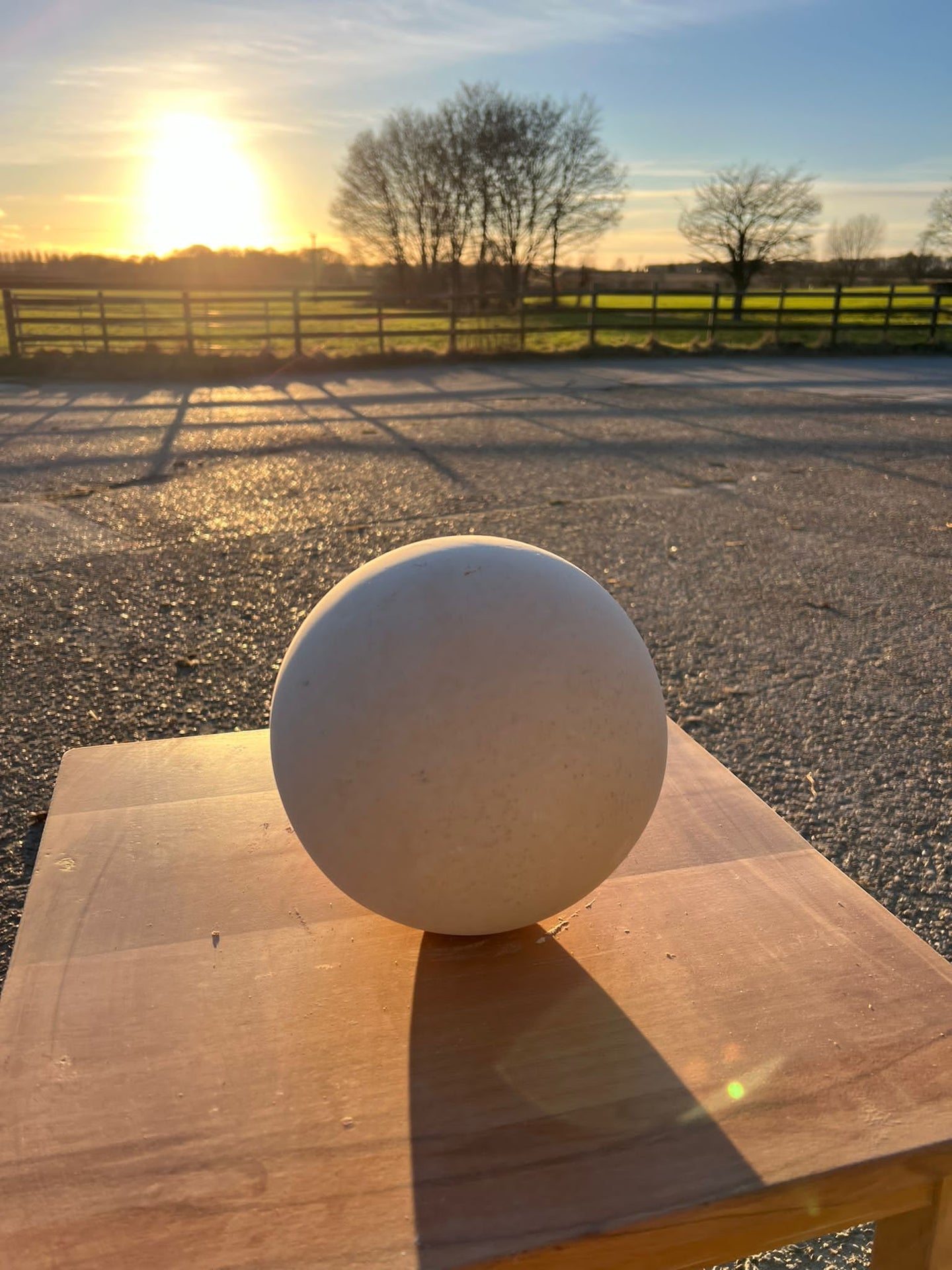 Limestone Sphere Maltese Limestone Sphere – Southern Stone and Tools