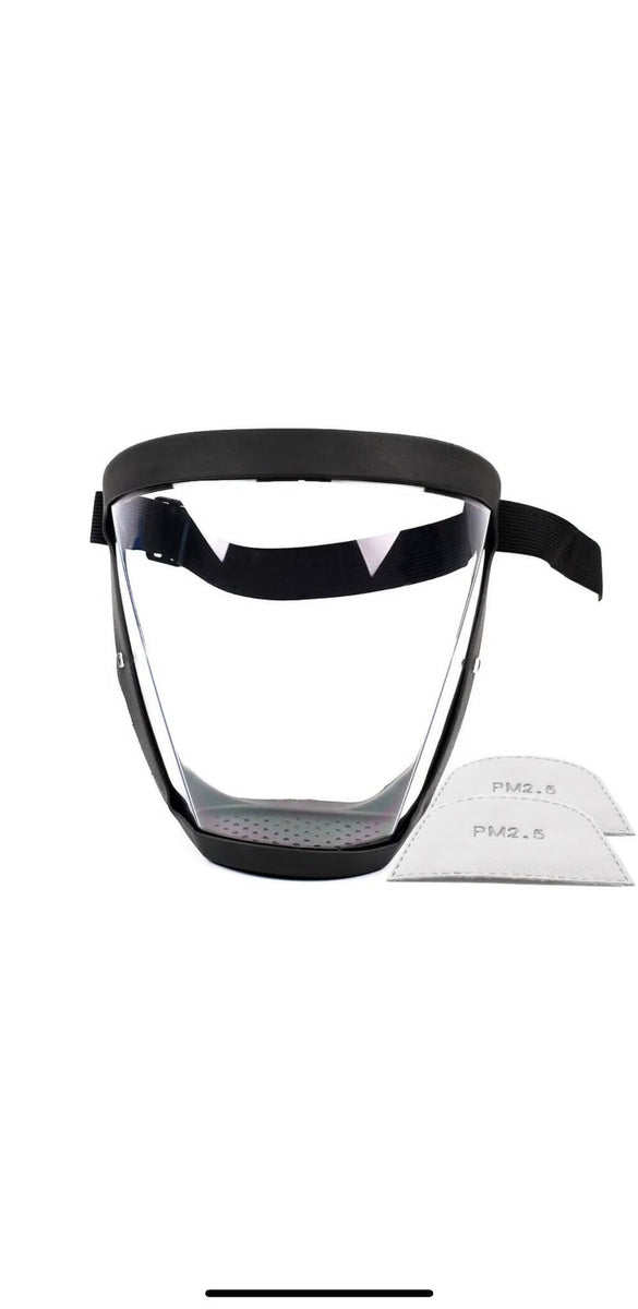 Full Face Shield with Filter – Southern Stone and Tools